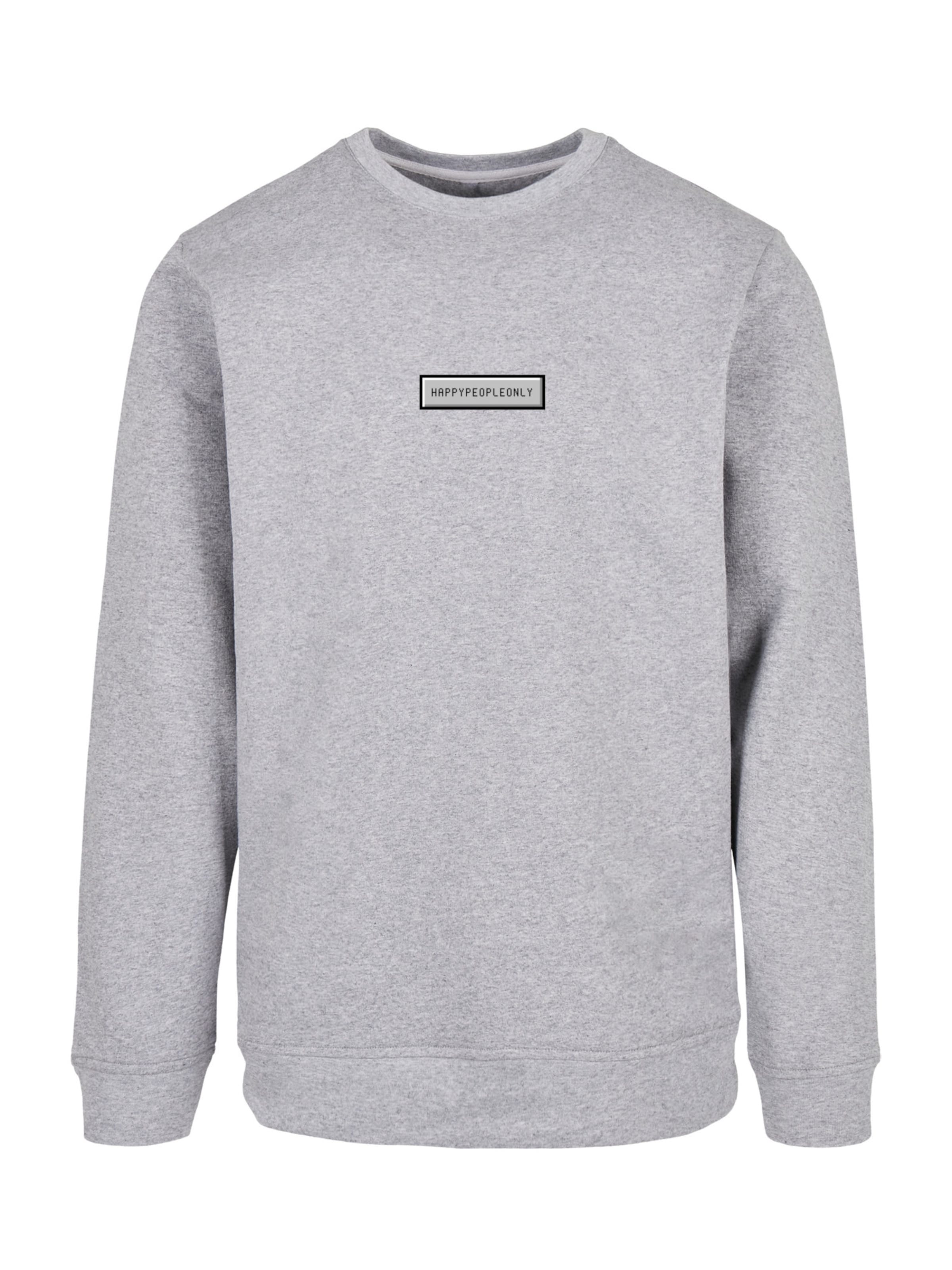 F4NT4STIC Sweatshirt in Grau: Vorderseite