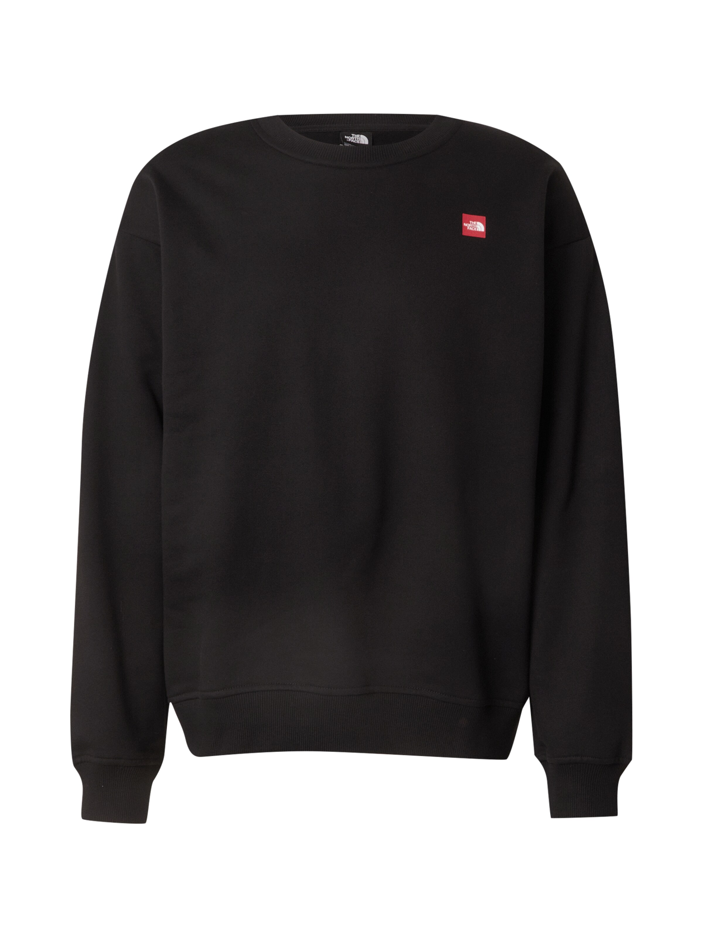 Felpa 'AXYS' di THE NORTH FACE in nero: frontale