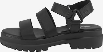 TIMBERLAND Sandalen met riem in Zwart