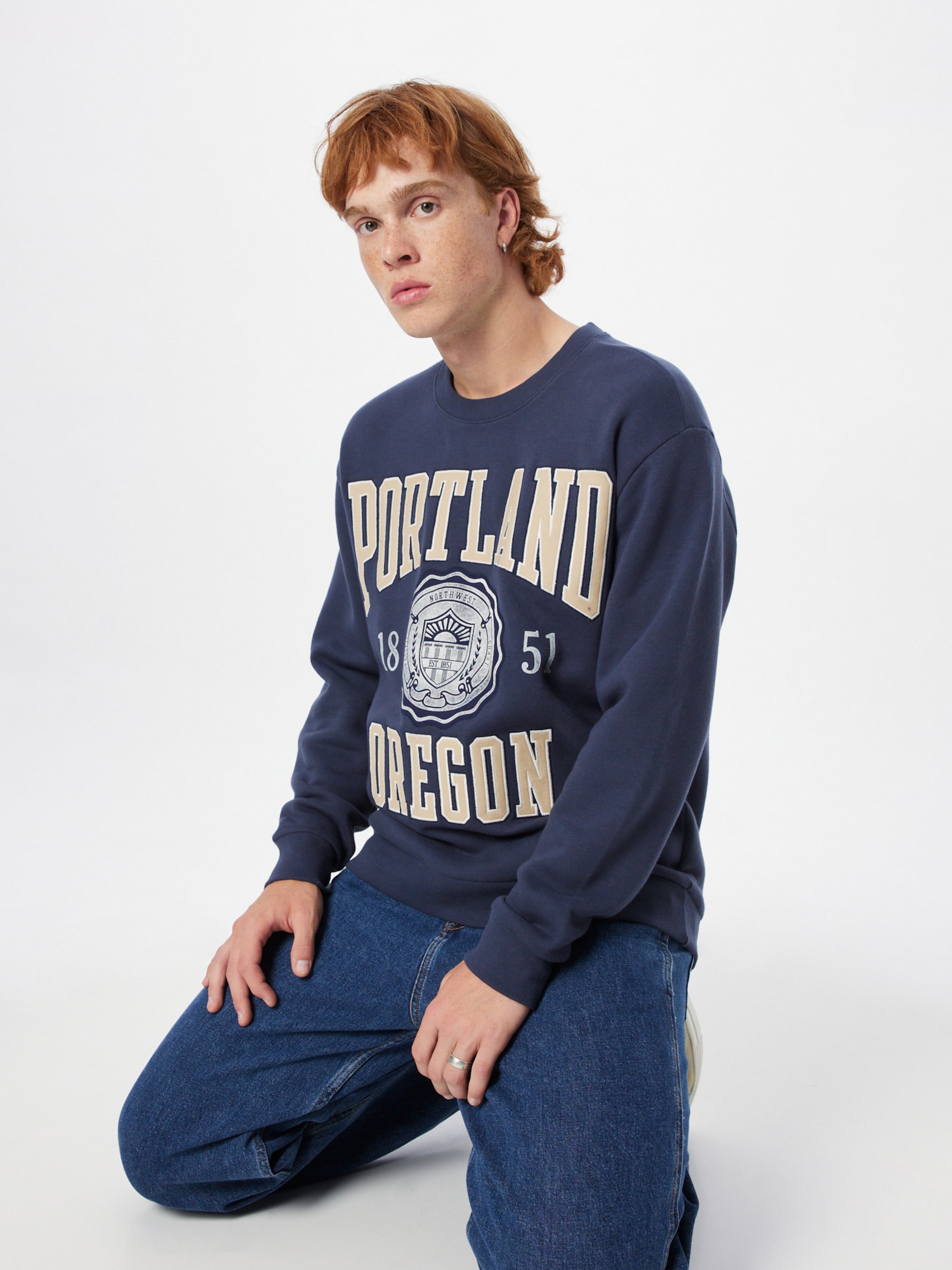 Hollister navy clearance sweatshirt