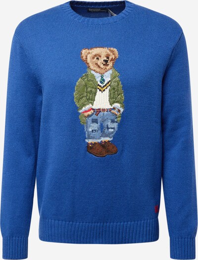 Polo Ralph Lauren Sweater in Royal blue / Brown / Green / White, Item view