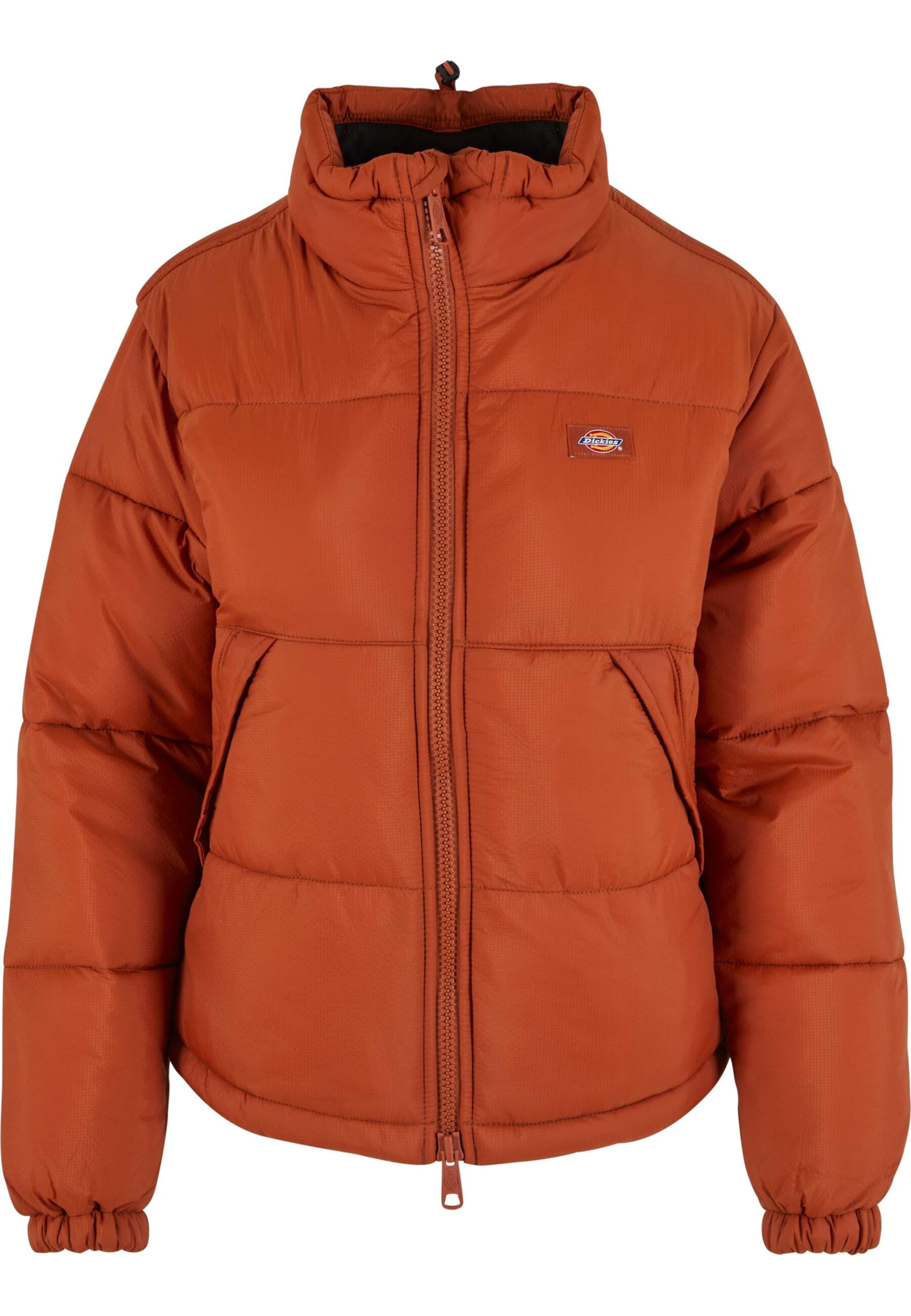 Giacca invernale 'Alatna' di DICKIES in marrone: frontale