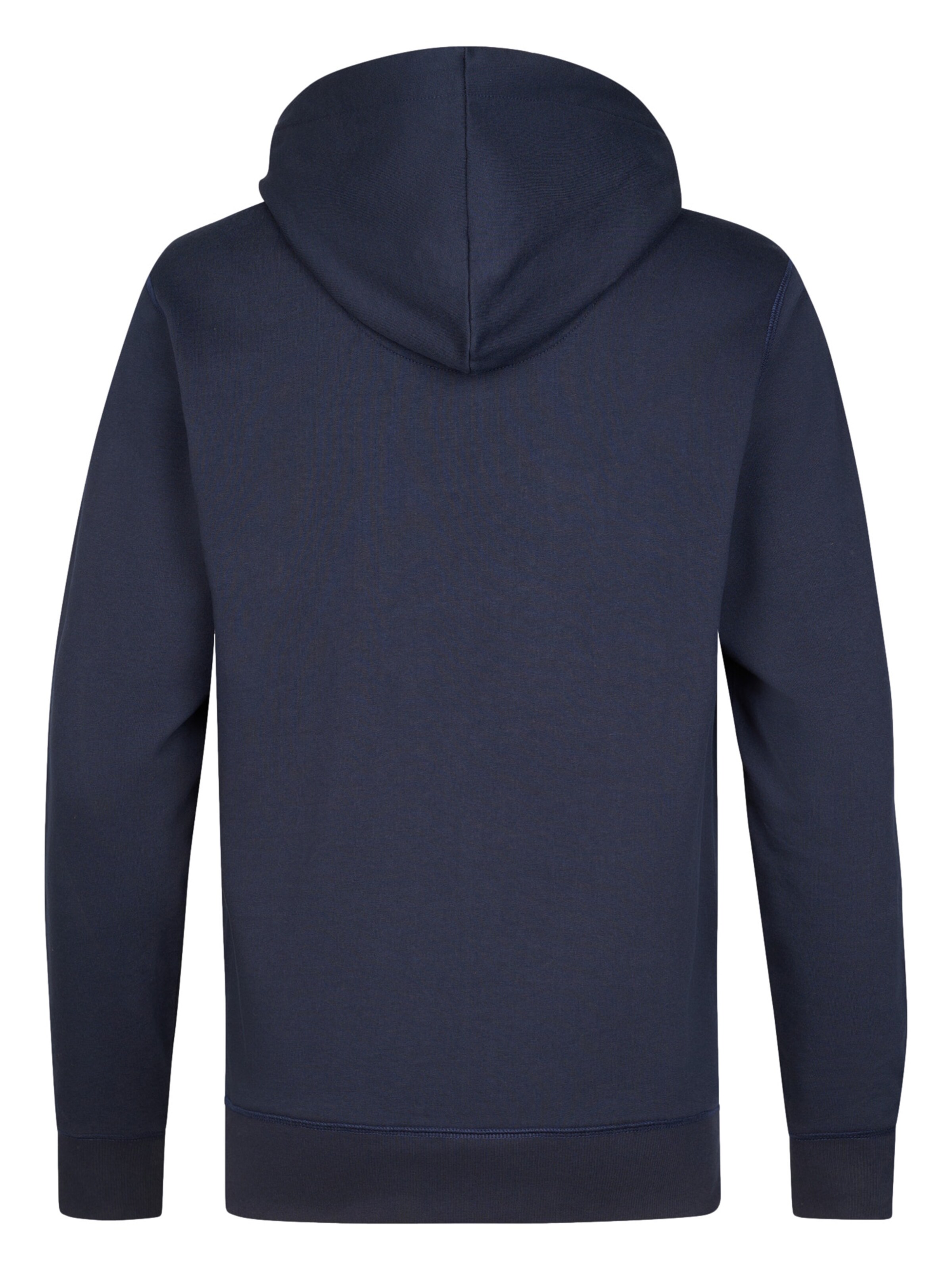 Petrol Industries Sweatshirt in Brown