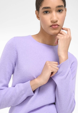 Peter Hahn Sweater in Purple