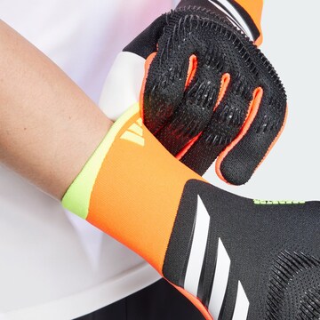 Gants de sport 'Predator Pro Goalkeeper' ADIDAS PERFORMANCE en mélange de couleurs