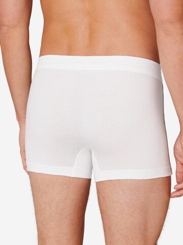 SCHIESSER Boxershorts '95/5 Stretch - Organic Cotton' in Wit