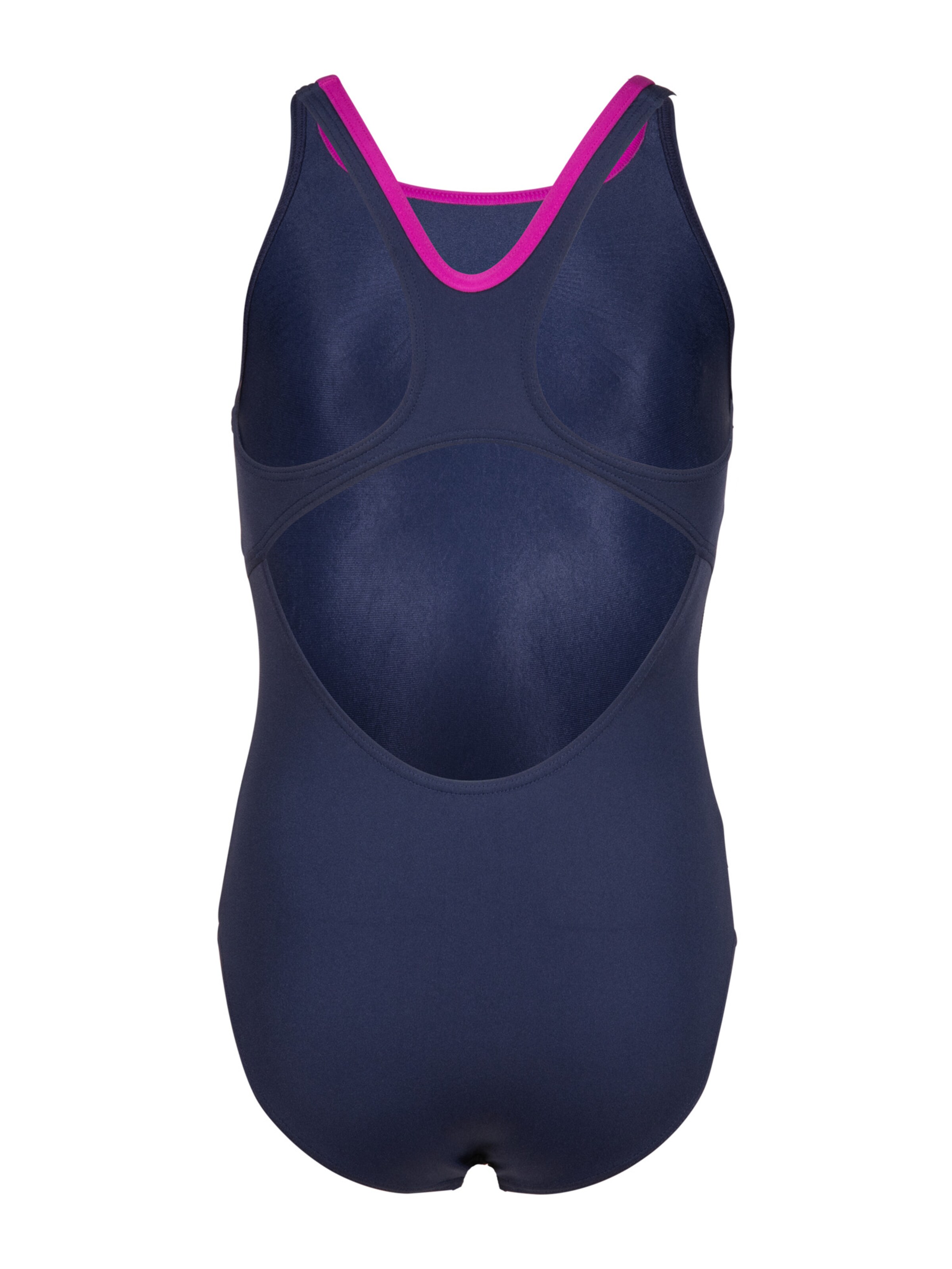 ARENA Купальник 'Bay Swim Pro Back' в Синий
