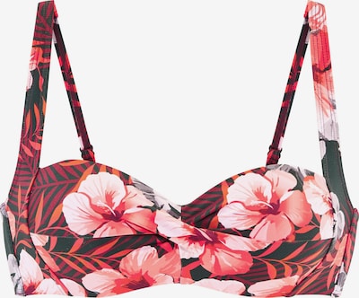 LASCANA Bikini gornji dio veličine 75/D u kraljevski zelena / koraljna / fuksija, Pregled proizvoda