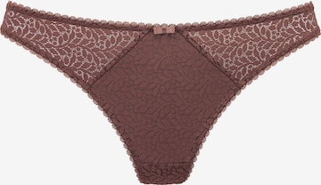 NUANCE Alushousut värissä ruskea: etupuoli