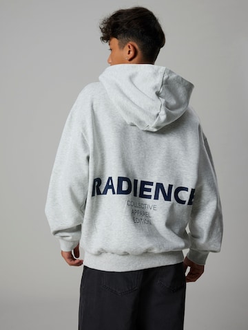 Sweat-shirt LMTD en gris