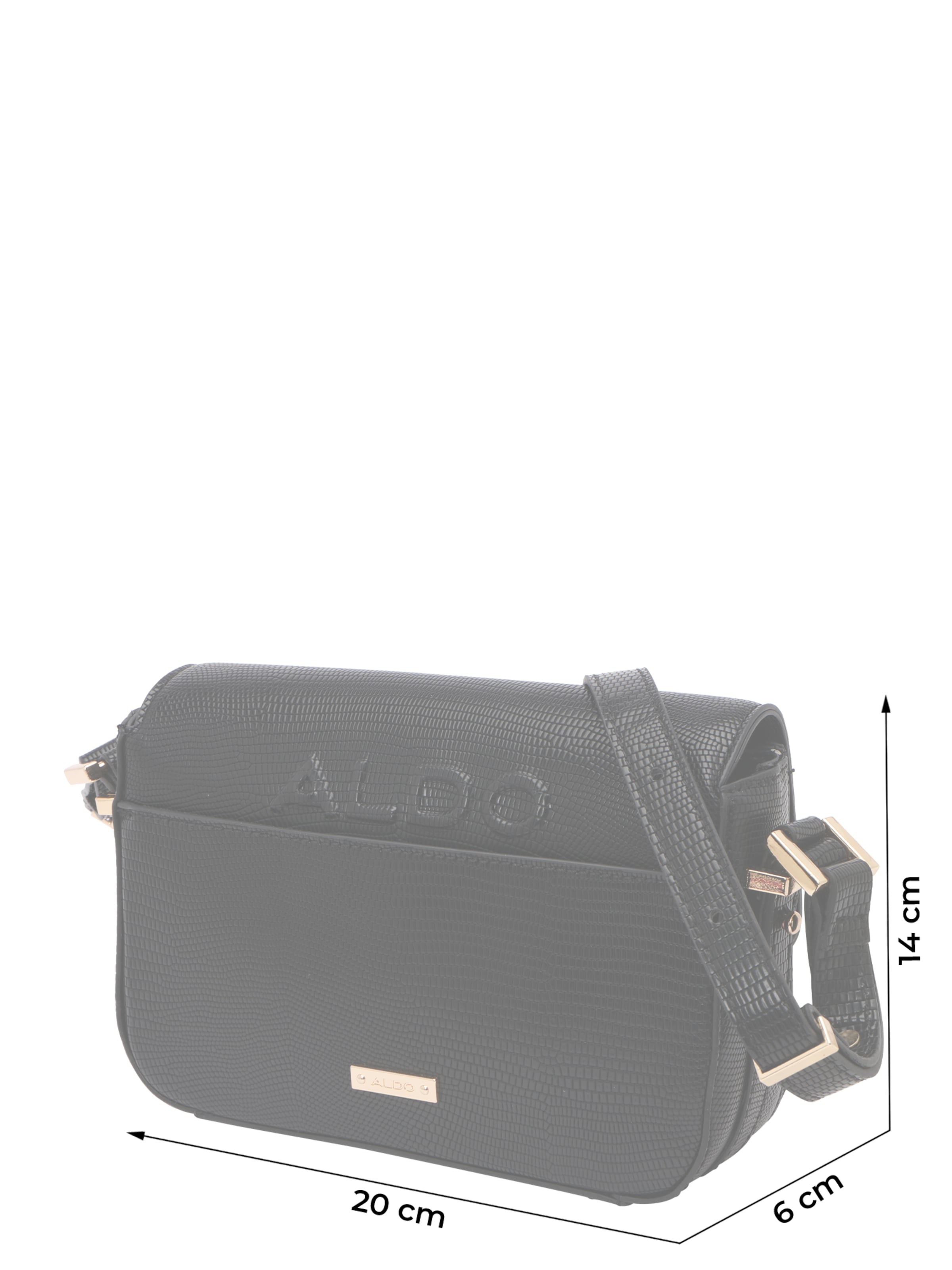 ALDO Crossbody bag 'ETEINI' in Black