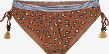 LingaDore Bikinibroek in Bruin: voorkant