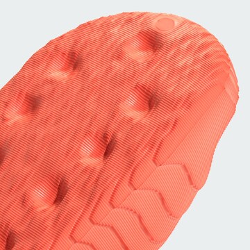ADIDAS ORIGINALSSandale 'Adilette 22 XLG' - narančasta boja