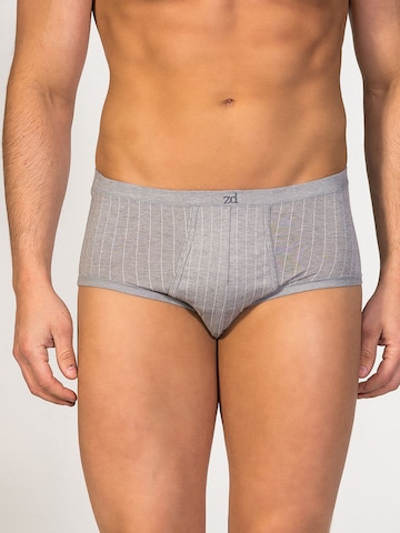 zd ZERO DEFECTS - Braga 'Senior Prinstriped Fly Front Brief' en gris: frente