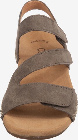 GABOR Strap Sandals in Grey