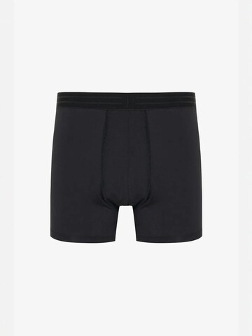 Boxers Penti en mélange de couleurs