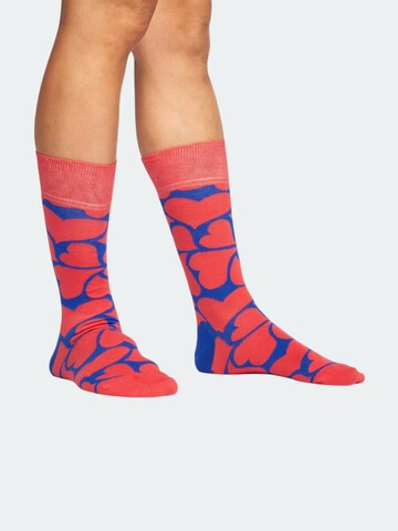 DillySocks Socks 'Beetle Love' in Mixed colours: front