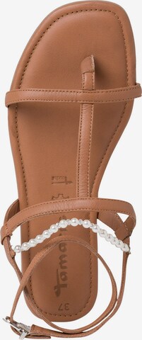 TAMARIS T-Bar Sandals in Brown