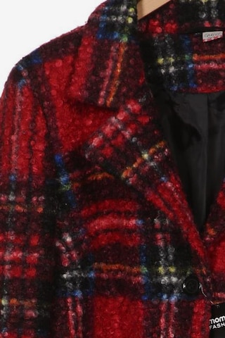 Qiero Jacket & Coat in XXL in Mixed colors