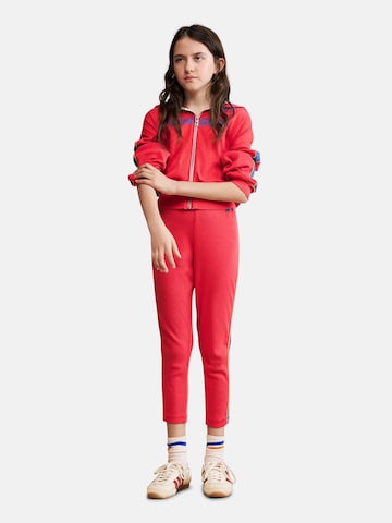 Desigual Skinny Športne hlače | rdeča barva