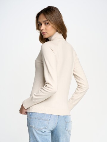 BIG STAR Pullover 'Charleonia' in Beige