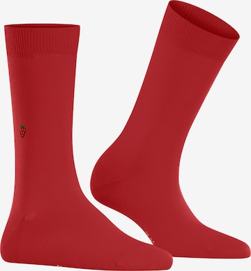 BURLINGTON Socks 'Brit Style' in Purple: front