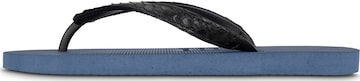 Uzurii Luxury Footwear Zehentrenner 'Python' in Blau: Vorderseite