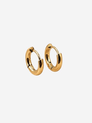 Lakris Jewelry Øreringe i guld: forside