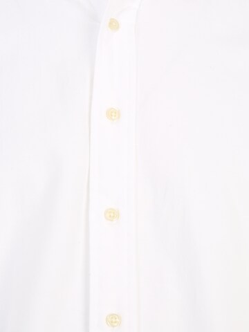 Polo Ralph Lauren Big & Tall Regular fit Button Up Shirt in White