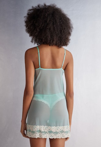 INTIMISSIMI Negligee in Blue