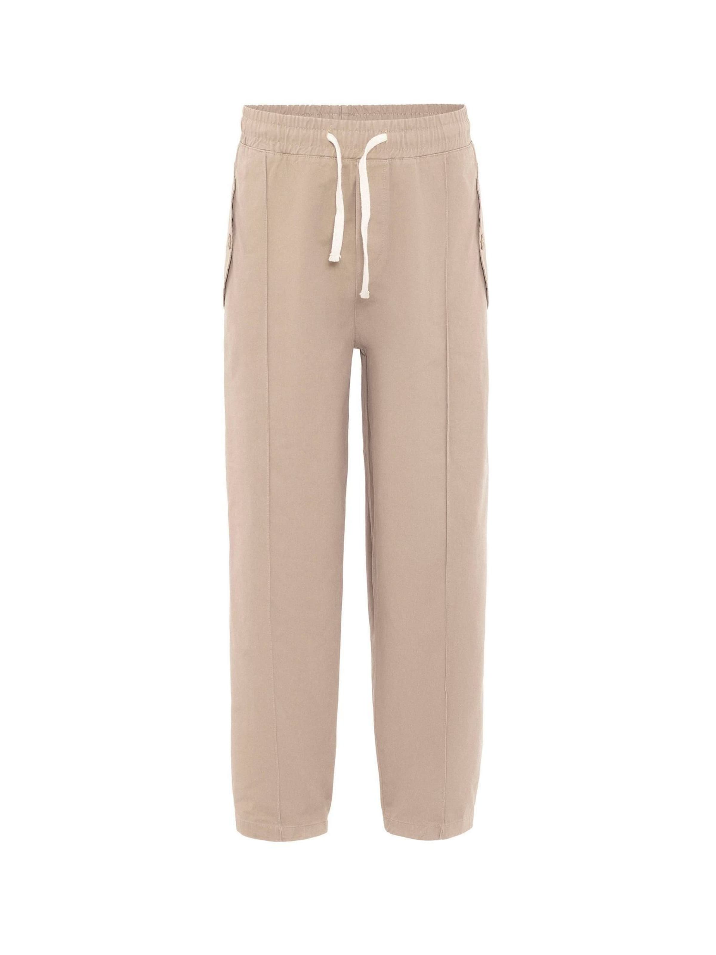 Regular Pantalon Dandalo en beige : devant