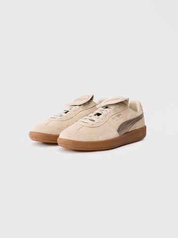 PUMA Nizke superge 'Palermo Premium' | rjava barva