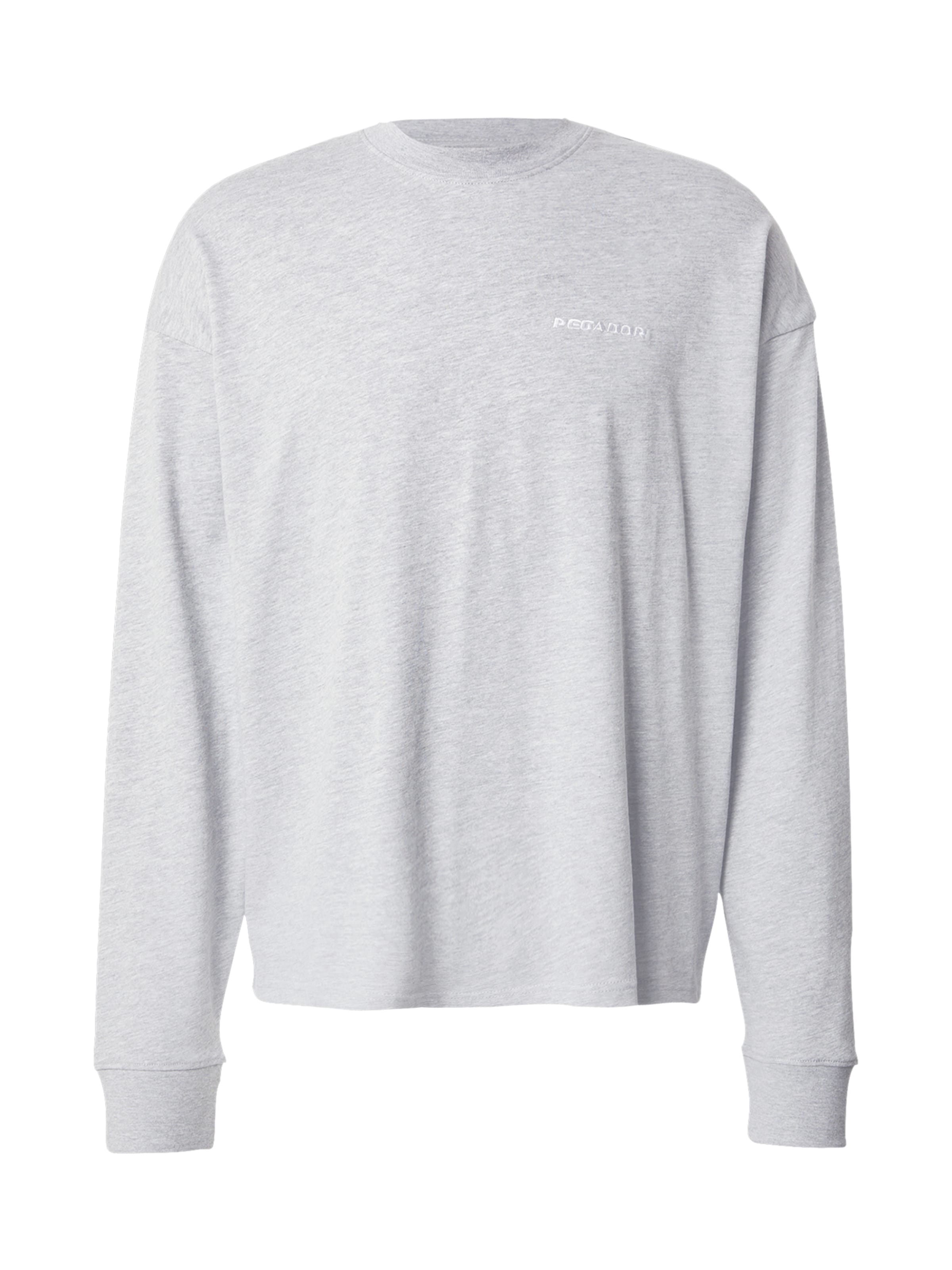 Pegador T-shirt 'RUSK' i grå: framsida