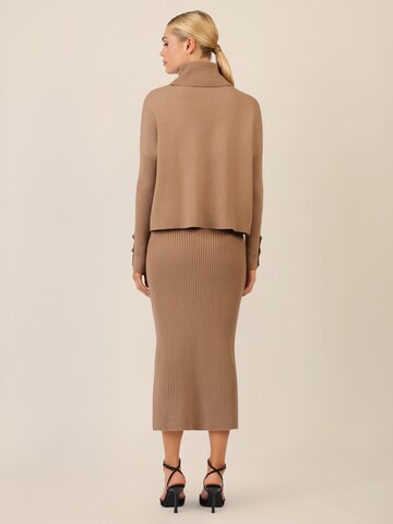 APART Sweater in Brown