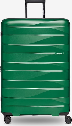 Trolley di Bergpfeil in verde: frontale