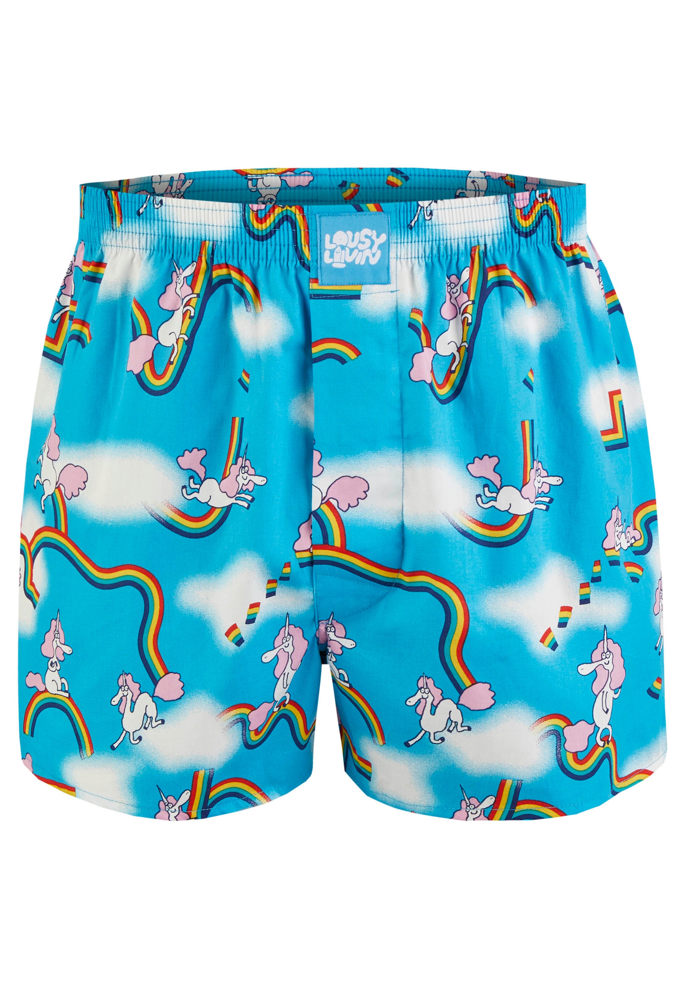 Lousy Livin Boxershorts 'Sky Gym & Dolphin' in Blau