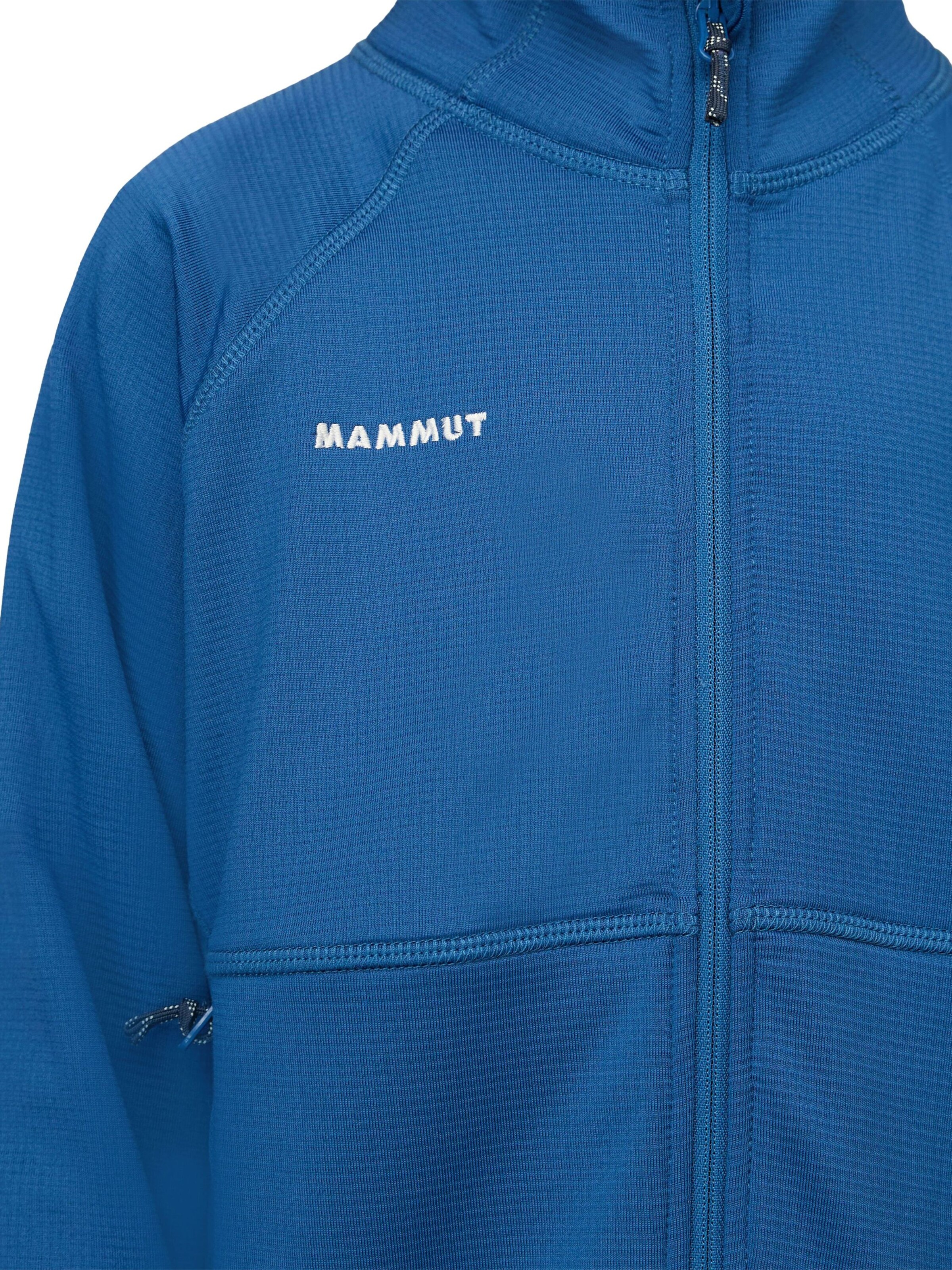 MAMMUT Athletic Fleece Jacket 'Taiss' in Blue