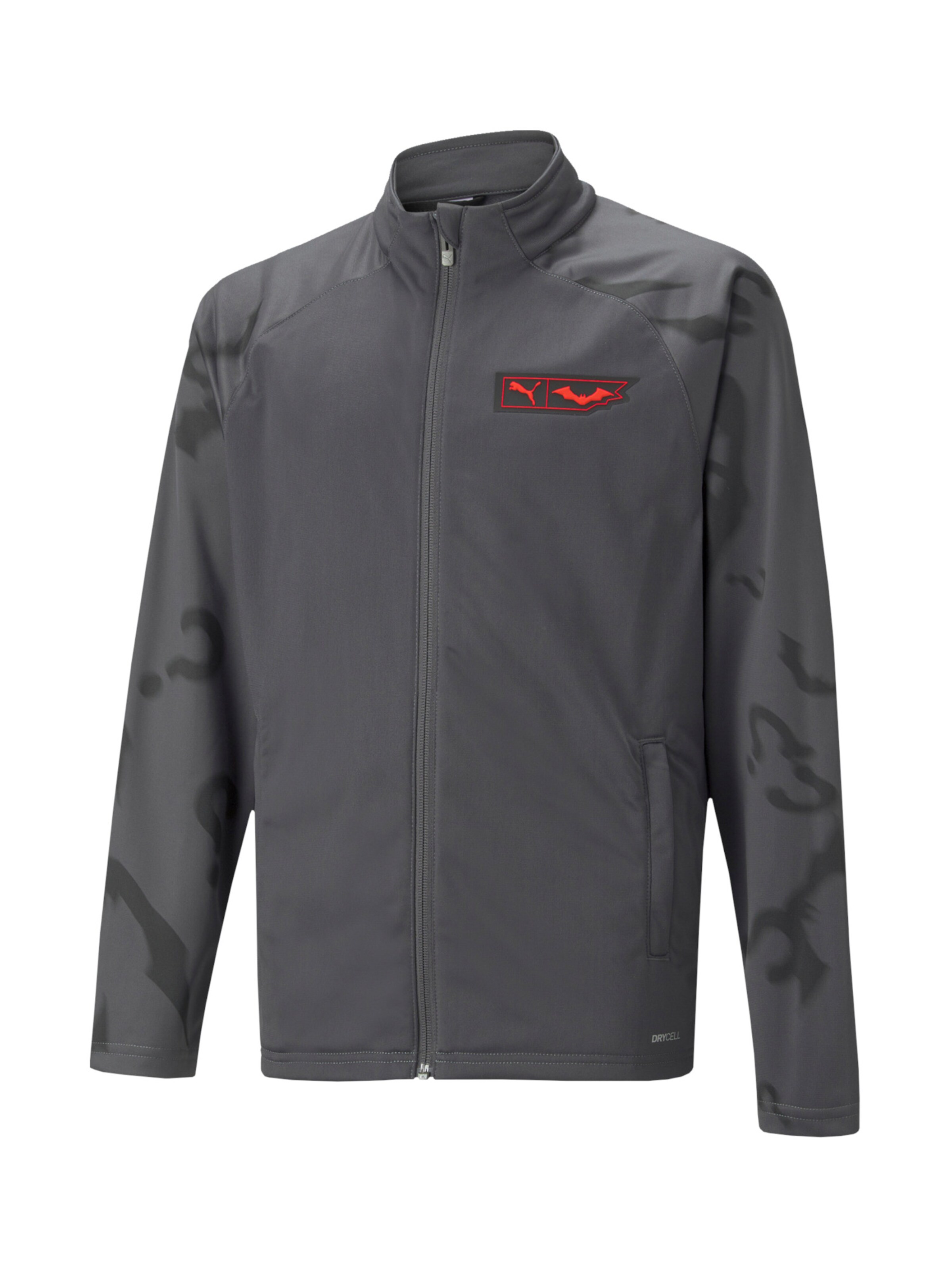 PUMA Sportjacke in Grau: Vorderseite