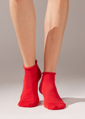 CALZEDONIA Socks in Red: front