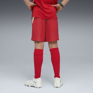 PUMA Regular Sportshorts 'Schweiz 2026' in Rot