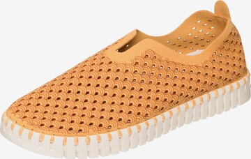 Scarpa slip-on 'TULIP 3275' di ILSE JACOBSEN in arancione: frontale