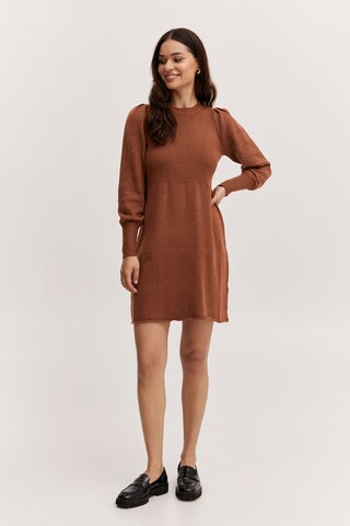 b.young Dress 'NONINA' in Brown