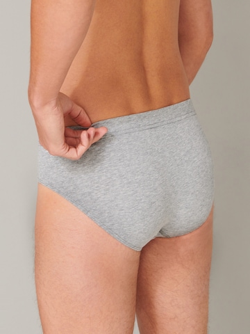 SCHIESSER Panty in Mixed colors