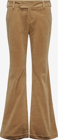 évasé Pantalon Salsa Jeans en marron : devant