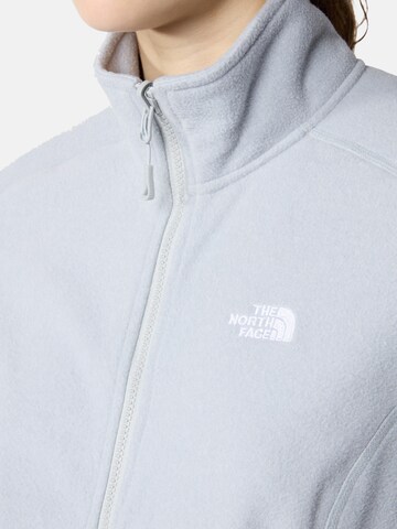 THE NORTH FACE Athletic Fleece Jacket 'Glacier' in Grey