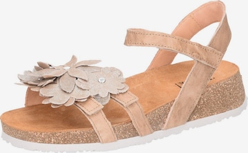 Sandales 'Sandalette Damen 3-000551-4000 Echtleder in braun' Think en marron : devant