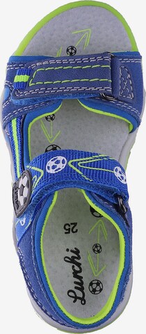SALAMANDER Sandals 'Benne' in Blue