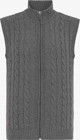 Vestă de la Felix Hardy pe gri: față