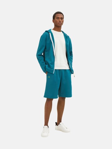 TOM TAILOR Regular Shorts 'Arvid' in Blau