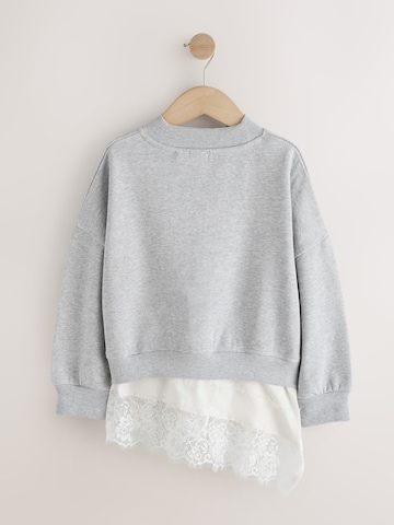 Next Sweatshirt i grå